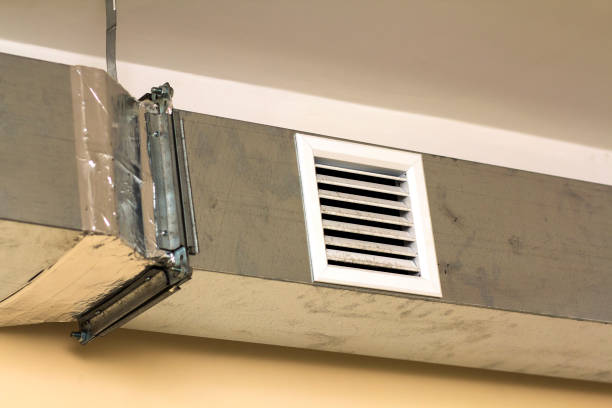Air Duct Mold Removal in ID